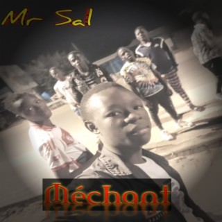 Mr Sal