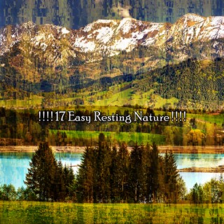 ! ! ! ! 17 Easy Resting Nature ! ! ! !