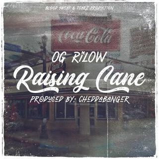 Raising Canes lyrics | Boomplay Music