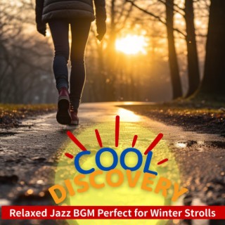 Relaxed Jazz Bgm Perfect for Winter Strolls