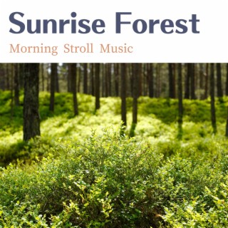 Morning Stroll Music