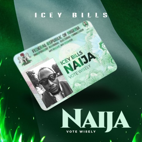 Naija (Vote Wisely) | Boomplay Music