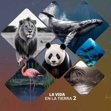 La Vida en la Tierra 2 | Boomplay Music