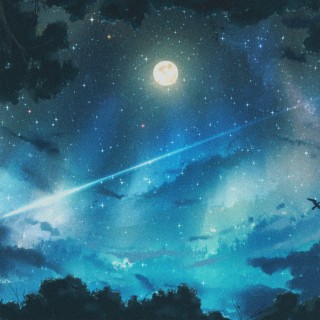 Night Sky