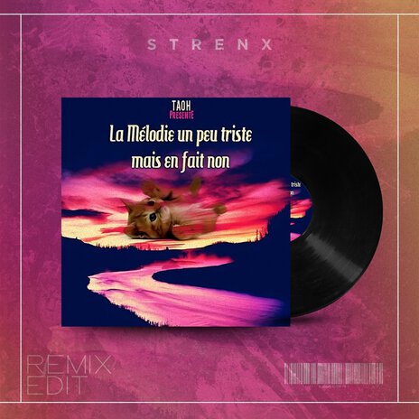 La mélodie un peu triste mais en fait non (Strenx Remix Edit) ft. Strenx | Boomplay Music