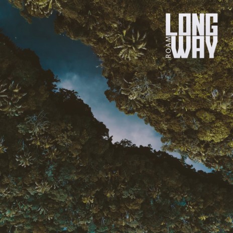 Long Way | Boomplay Music