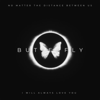 Bye Bye Butterflies lyrics | Boomplay Music