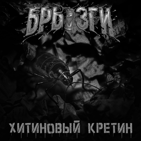 Хитиновый кретин | Boomplay Music