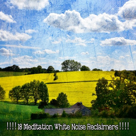 White Noise Peaceful Wonderland