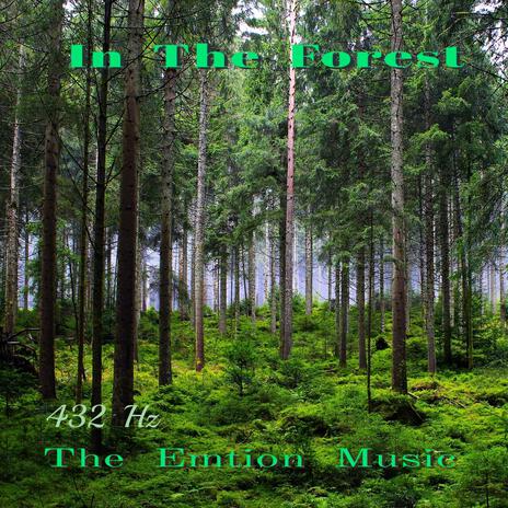 In the forest | Boomplay Music