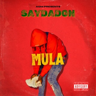 Mula