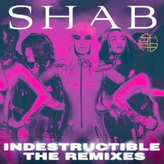 Indestructible (The Remixes)