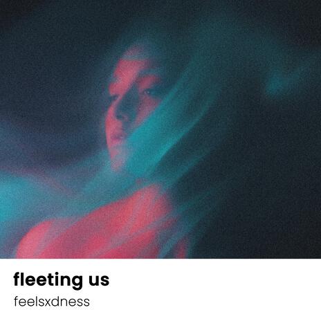 fleeting us | Boomplay Music