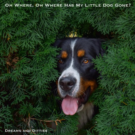 Oh Where, Oh Where Has My Little Dog Gone? (Instrumental)