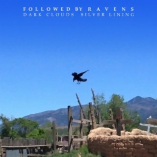 Followed by Ravens