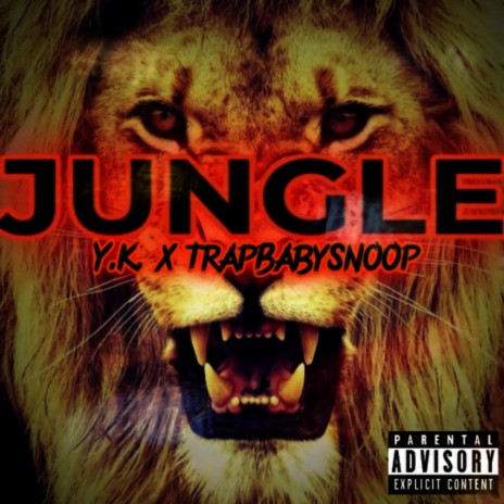 JUNGLE ft. Trapbabysnoop | Boomplay Music