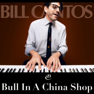 Bull In A China Shop (Single Version) lyrics | Boomplay Music