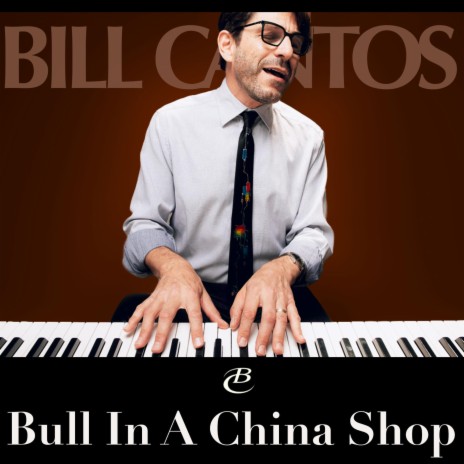 Bull In A China Shop (Single Version) | Boomplay Music
