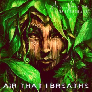 Air that I Breathe ft. Veronica Ray lyrics | Boomplay Music