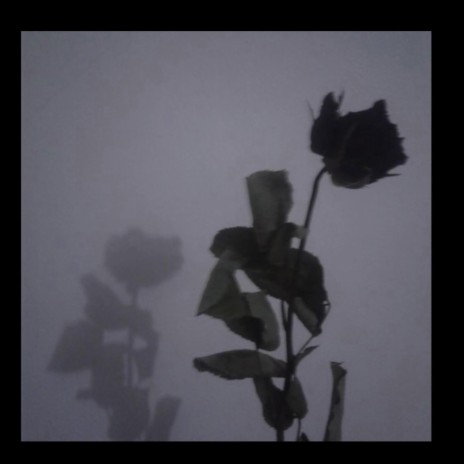 Dead flowers