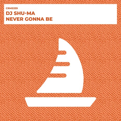 Never Gonna Be (Radio Edit) | Boomplay Music