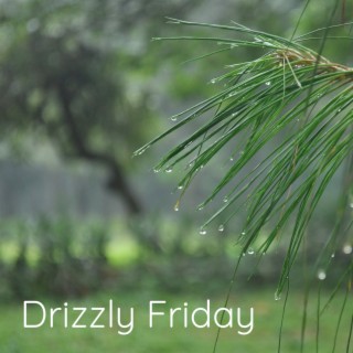 Drizzly Friday