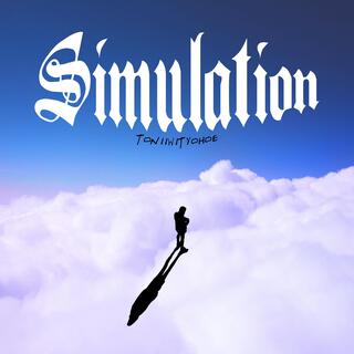 Simulation