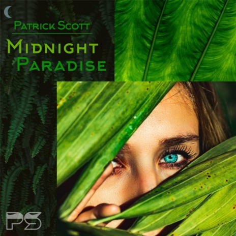 Midnight Paradise | Boomplay Music