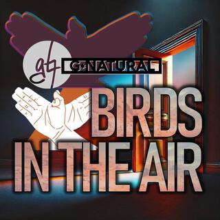 Birds in the Air (Radio Edit) ft. Jaamar McKelvey lyrics | Boomplay Music