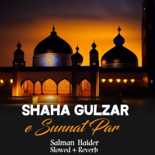 Shaha Gulzar e Sunnat Par Lofi