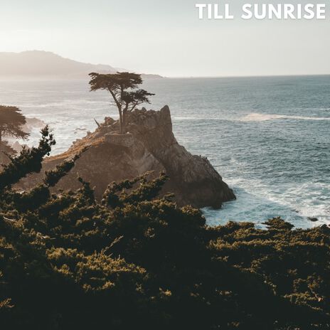 Till Sunrise | Boomplay Music