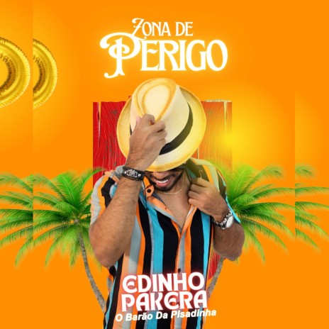 Zona de Perigo (Ao Vivo) | Boomplay Music