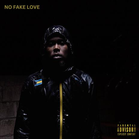 No Fake Love | Boomplay Music