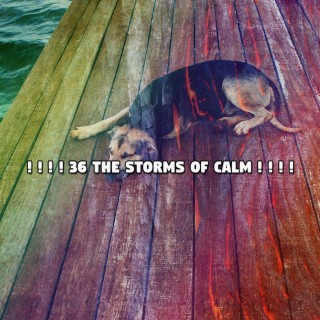 ! ! ! ! 36 The Storms Of Calm ! ! ! !