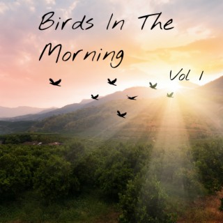 Birds In The Morning