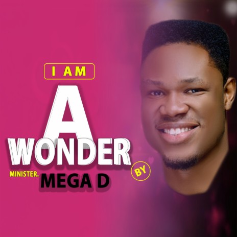 I'm a wonder | Boomplay Music