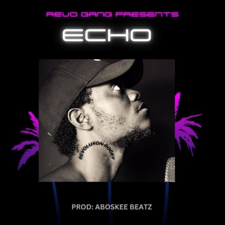 Echo | Boomplay Music