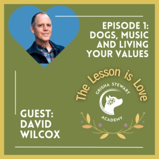 Emotional Balance is as Easy as Riding a Unicycle | David Wilcox