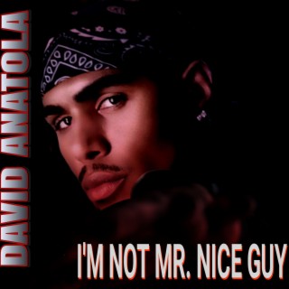 I'm Not Mr Nice Guy (Radio Edit)