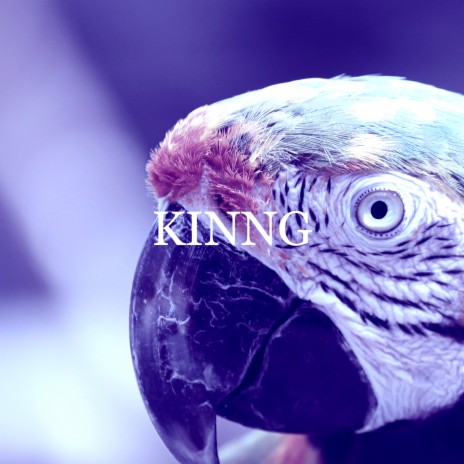 Kinng | Boomplay Music