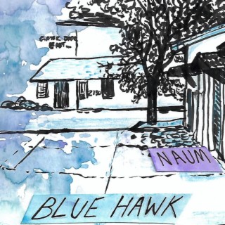 Blue Hawk