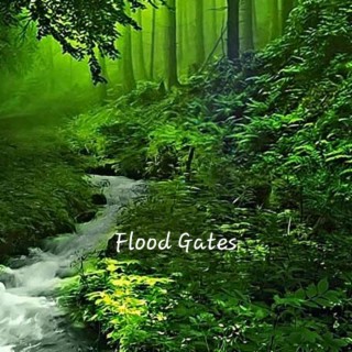 Flood Gates