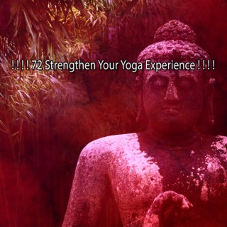 ! ! ! ! 72 Strengthen Your Yoga Experience ! ! ! !