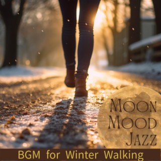 Bgm for Winter Walking