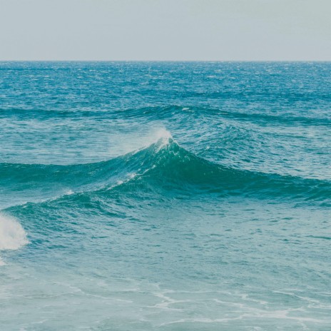 Sand Dollar ft. Ocean Waves For Sleep & Relajación | Boomplay Music