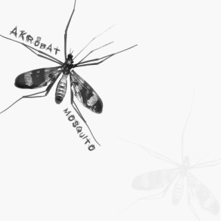 Mosquito lyrics | Boomplay Music