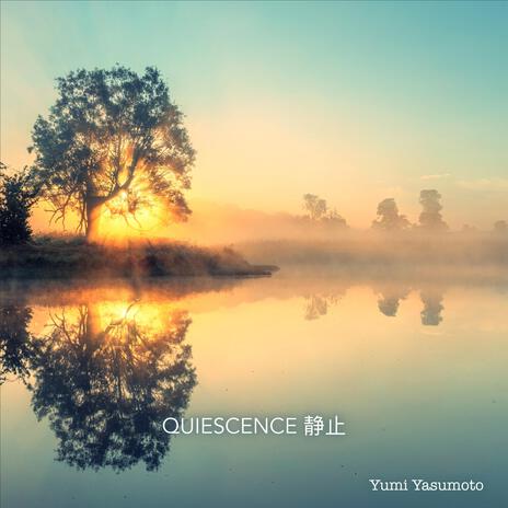 Quiescence