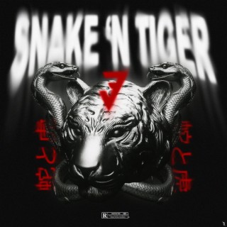 Snake N Tiger 3 ft. Aday P, IBRA & Aly Bravo lyrics | Boomplay Music