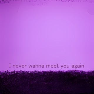 I Never Wanna Meet You Again