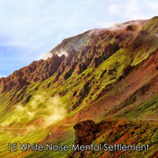 15 White Noise Mental Settlement
